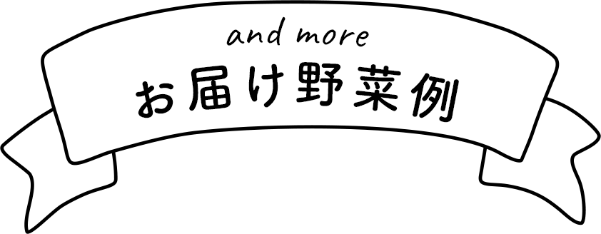 and more お届け野菜例 