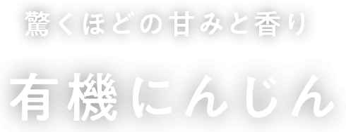 驚くほどの甘みと香り有機にんじん