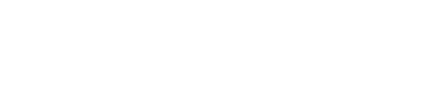 みずみずしく青い部分まで柔らか有機ねぎ