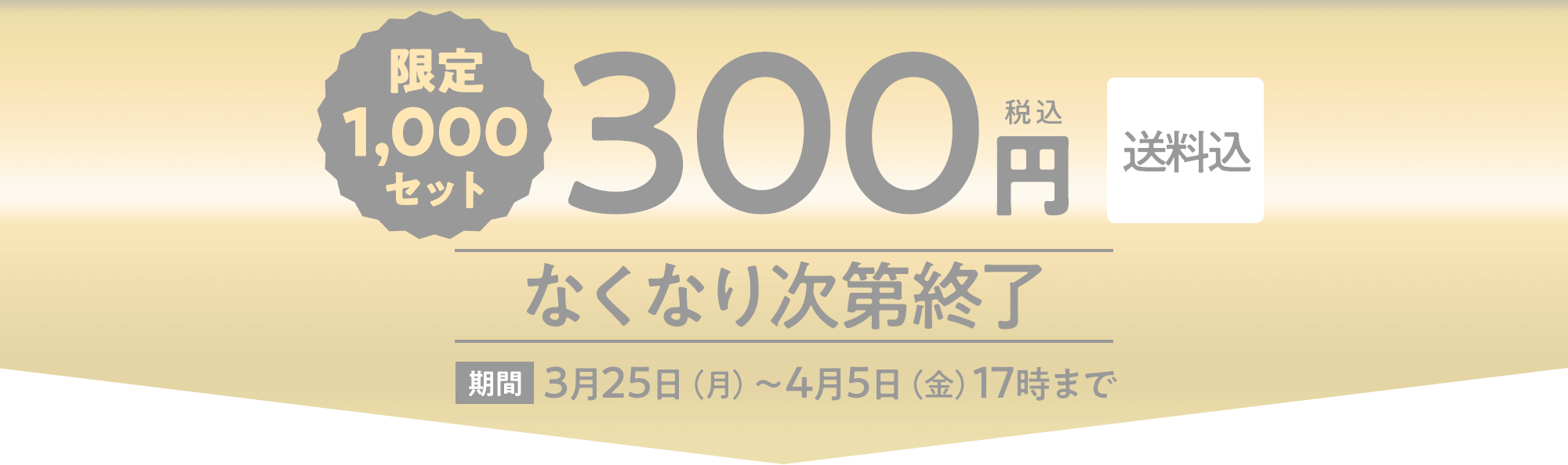限定1,000セット 300円（税込）送料込　なくなり次第終了　期間3月25日（月）～4月5日（金）17時まで