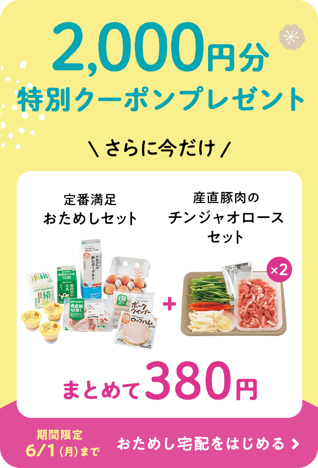 2,000円分特別クーポンプレゼント さらに今だけ 定番満足おためしセット 産直豚肉のチンジャオロースセット ×2 まとめて380円 期間限定 6/1 (月) まで おためし宅配をはじめる