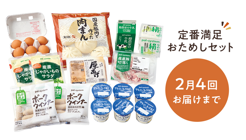 定番満足お試しセット　2月4回お届けまで